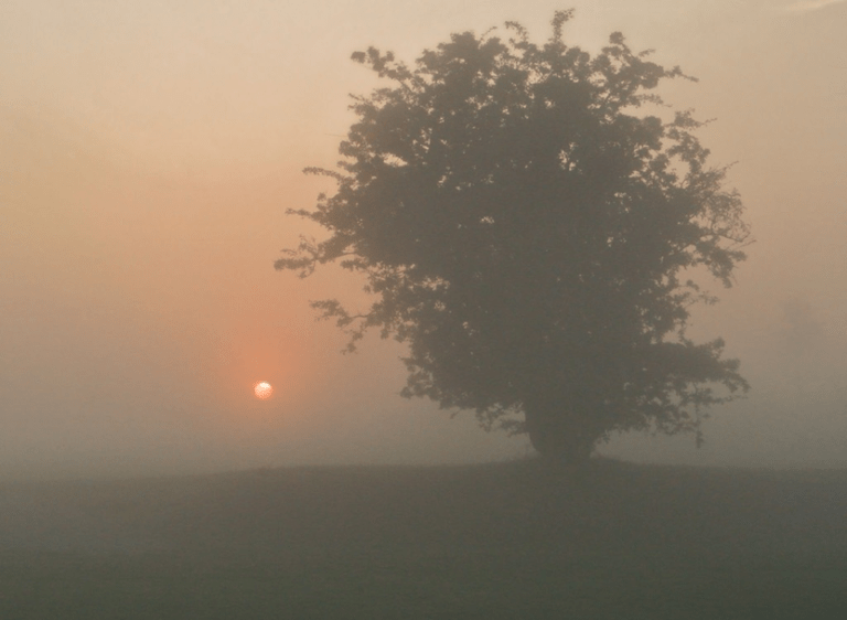 Golfspielen im Nebel