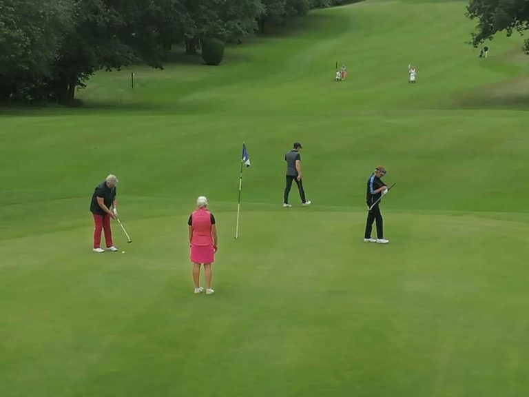 Die Schleimöwen sind ausgeflogen