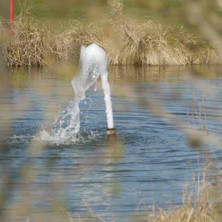 Ein paar Impressionen