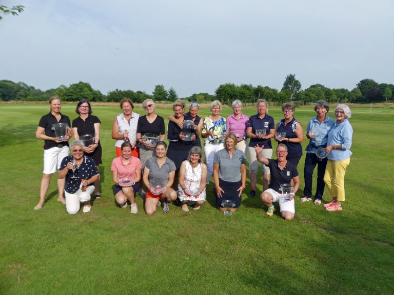 Preis der Schleimöwen