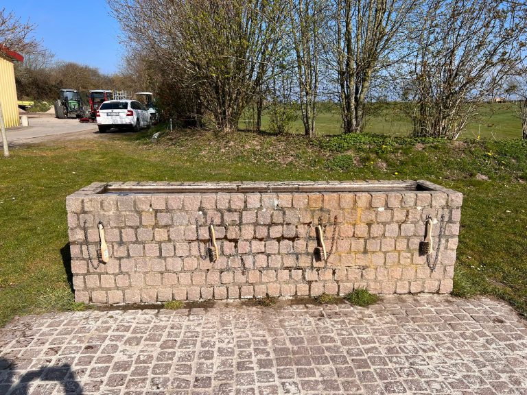 Spende der Schleimöwen