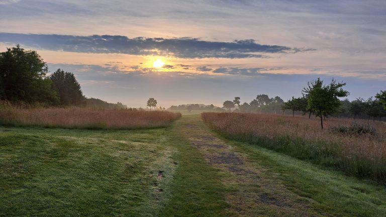 Der frühe Vogel….