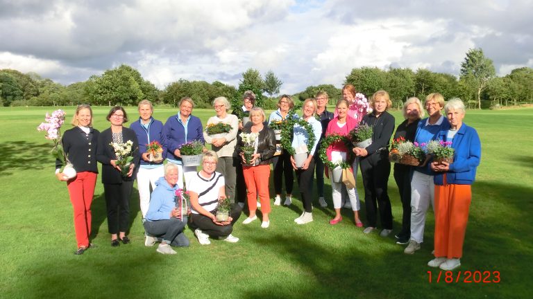 Preis der Schleimöwen